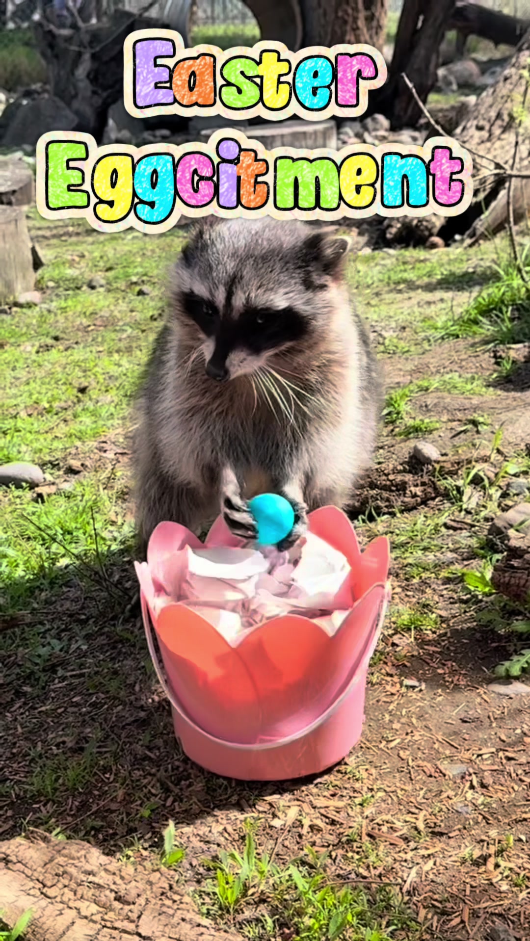@BC Wildlife Park