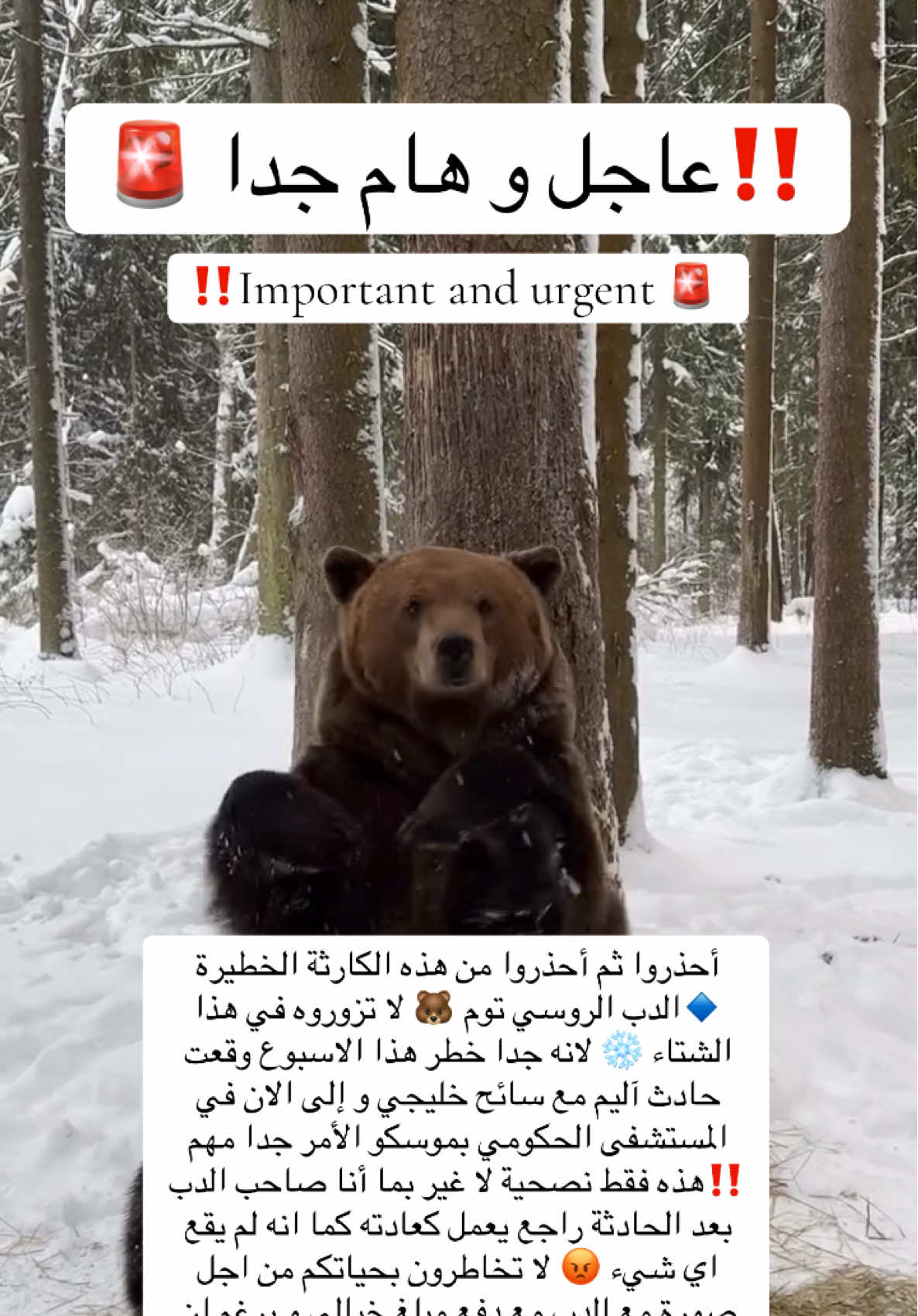 @tourism_russia_company