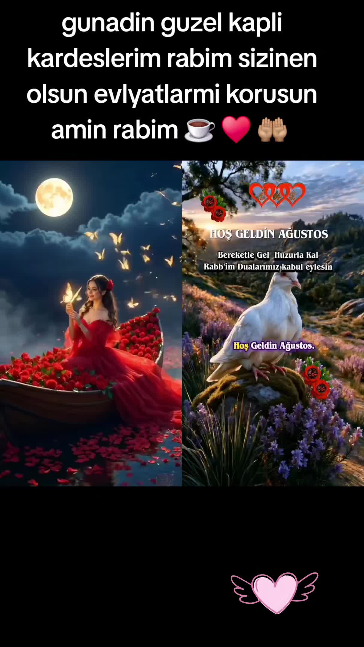@ayşe alieva 🦋🦋🦋