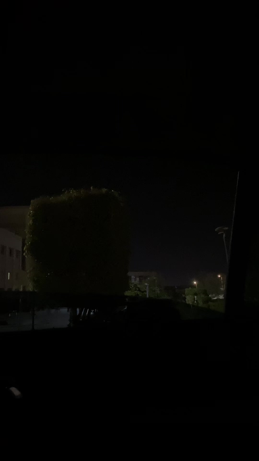 @آســـــر🐺