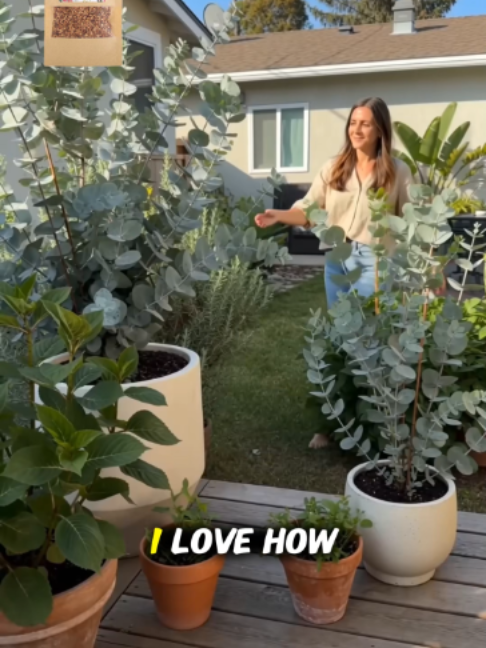 @Leaflooms-US