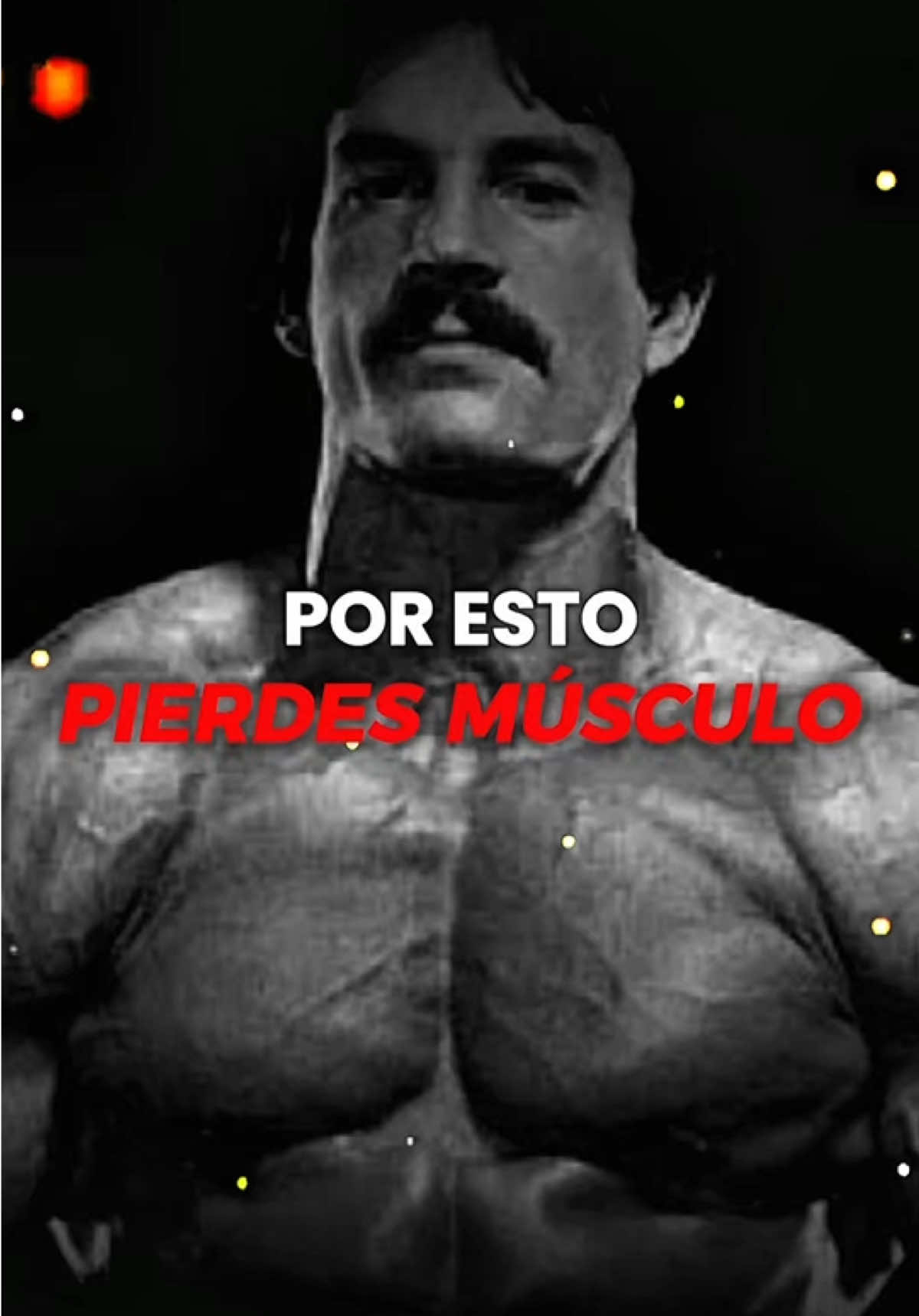 @TEMPLOFIT | Heavy Duty Moderno