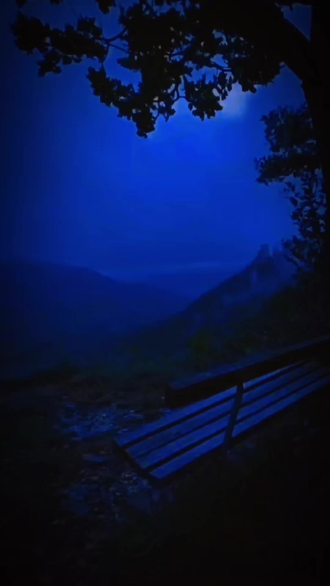 @tus m&uacute;sicas 🎧🎵