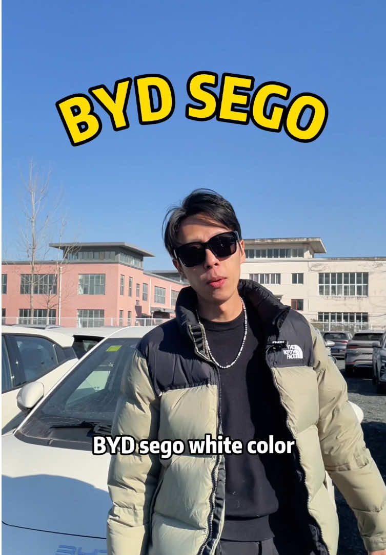 @revopanda_auto_china