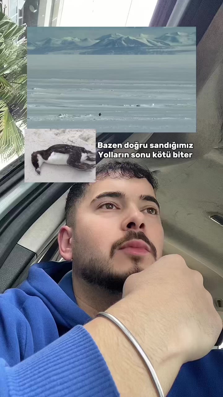 @Ertugrul Askay