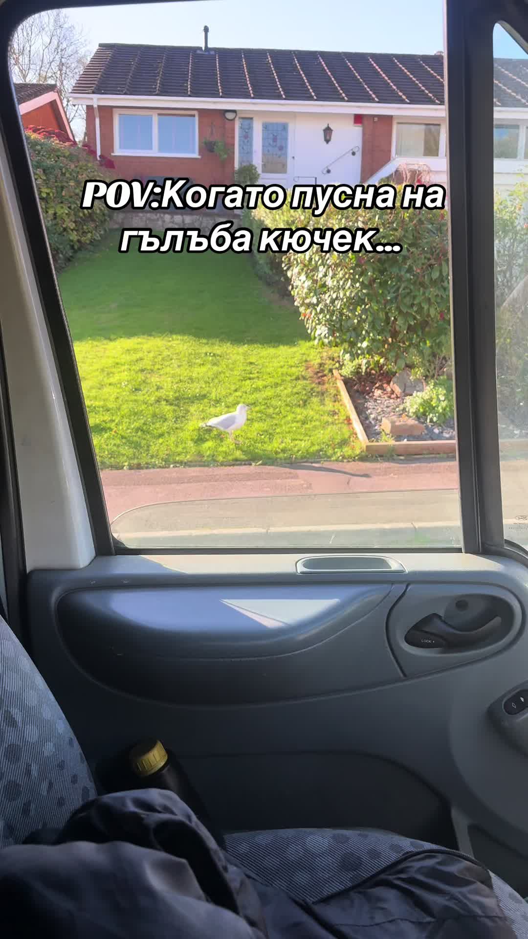 @Ivan yordanov