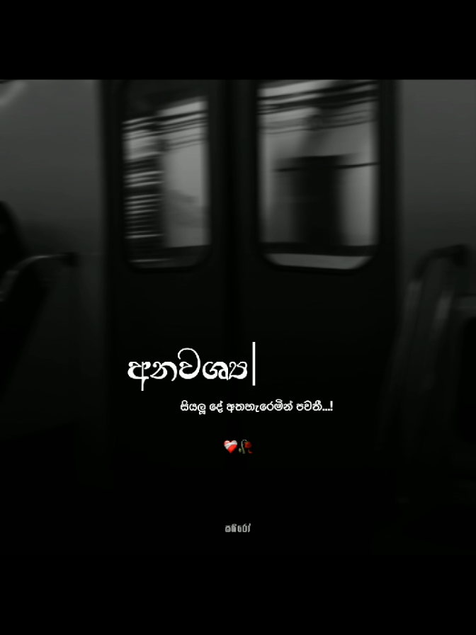 @𝗖𝚈𝚁𝙾 𝚀𝚄𝙾𝚃𝙴𝚂 🫀🧧