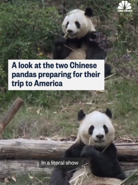 @nbcnews