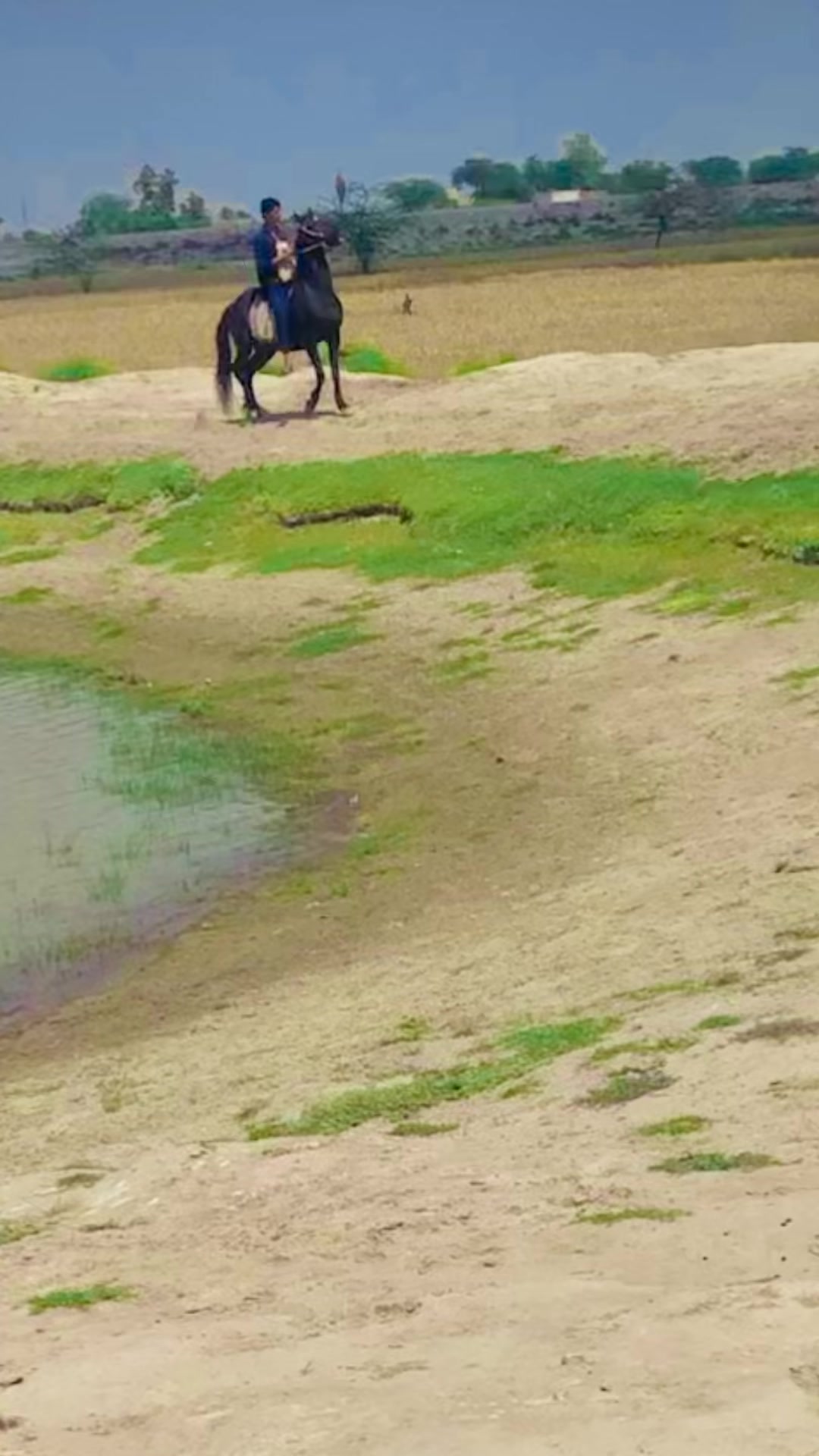 @🐎 گھوڑے دا شوق نواباں دا 🐎