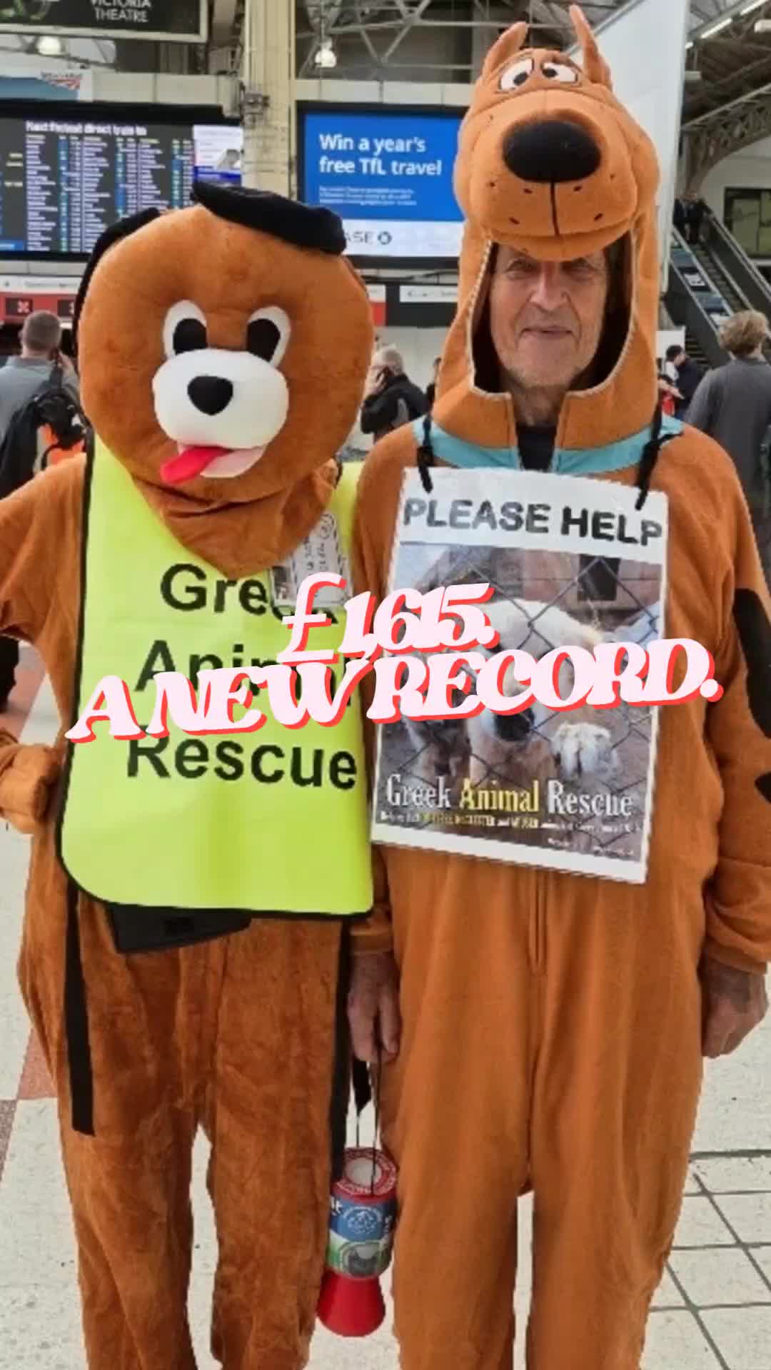 @Greek Animal Rescue