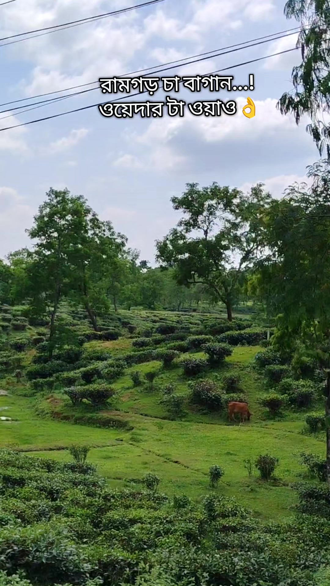 @༺ঘারত্যাড়া ༒শাহজাদা☬༻