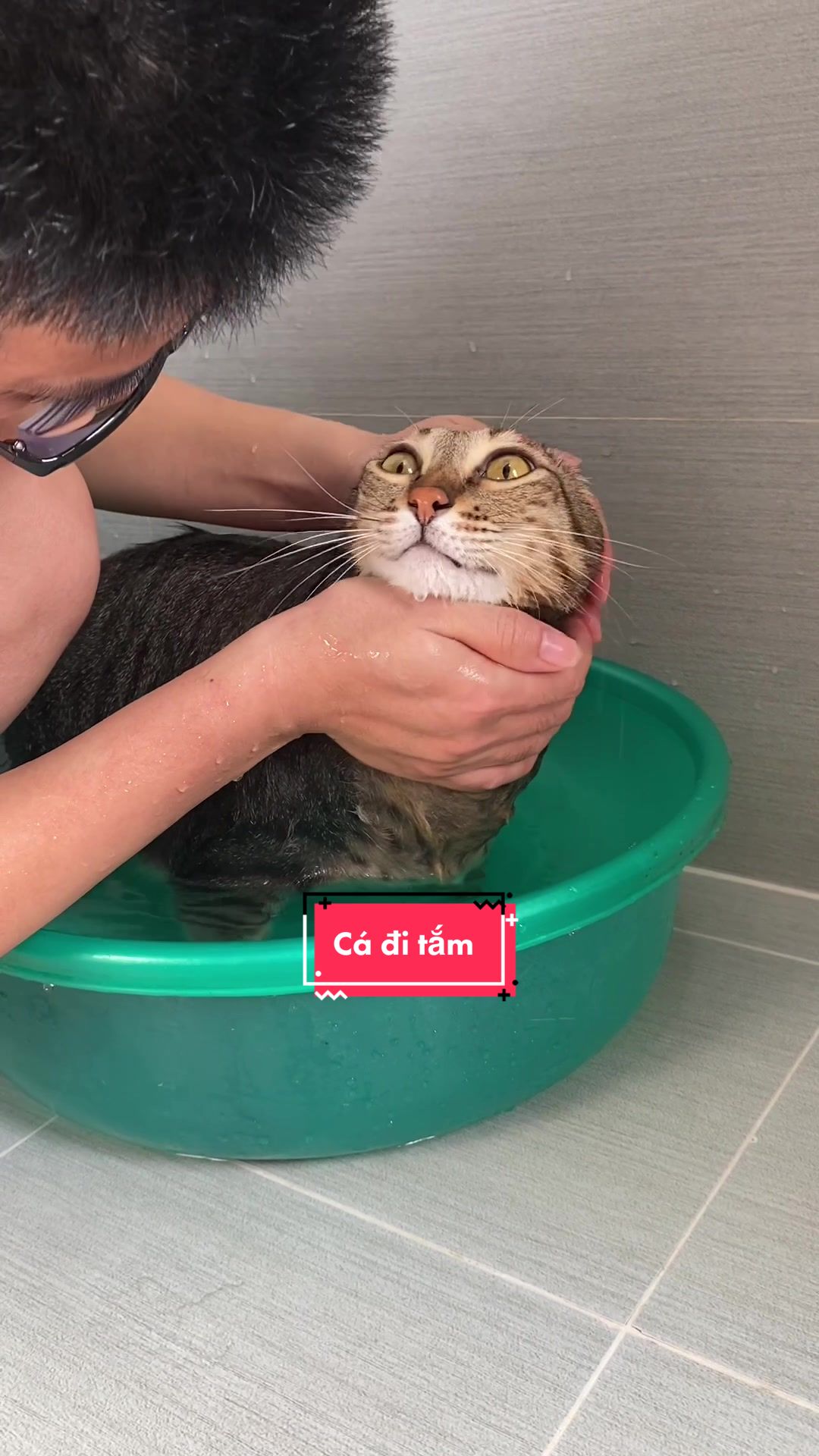 @Gia Đình Cá Cua