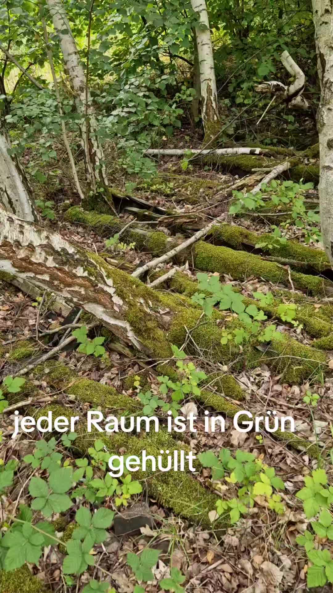 @urbex_raubkatze