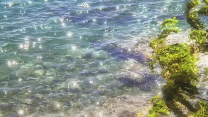 @𝘿𝙄𝙂𝙄𝙏𝘼𝙇𝙄𝙎
