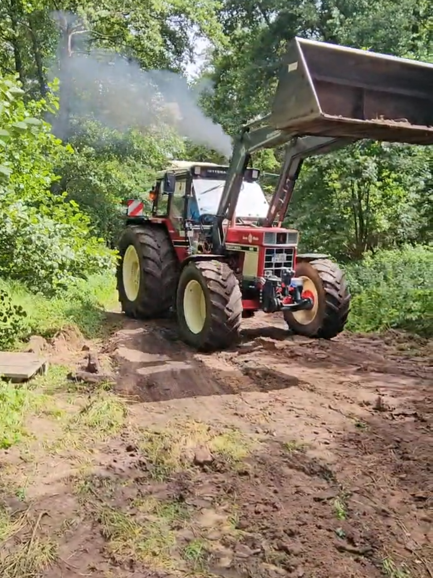 @Bauer Günther