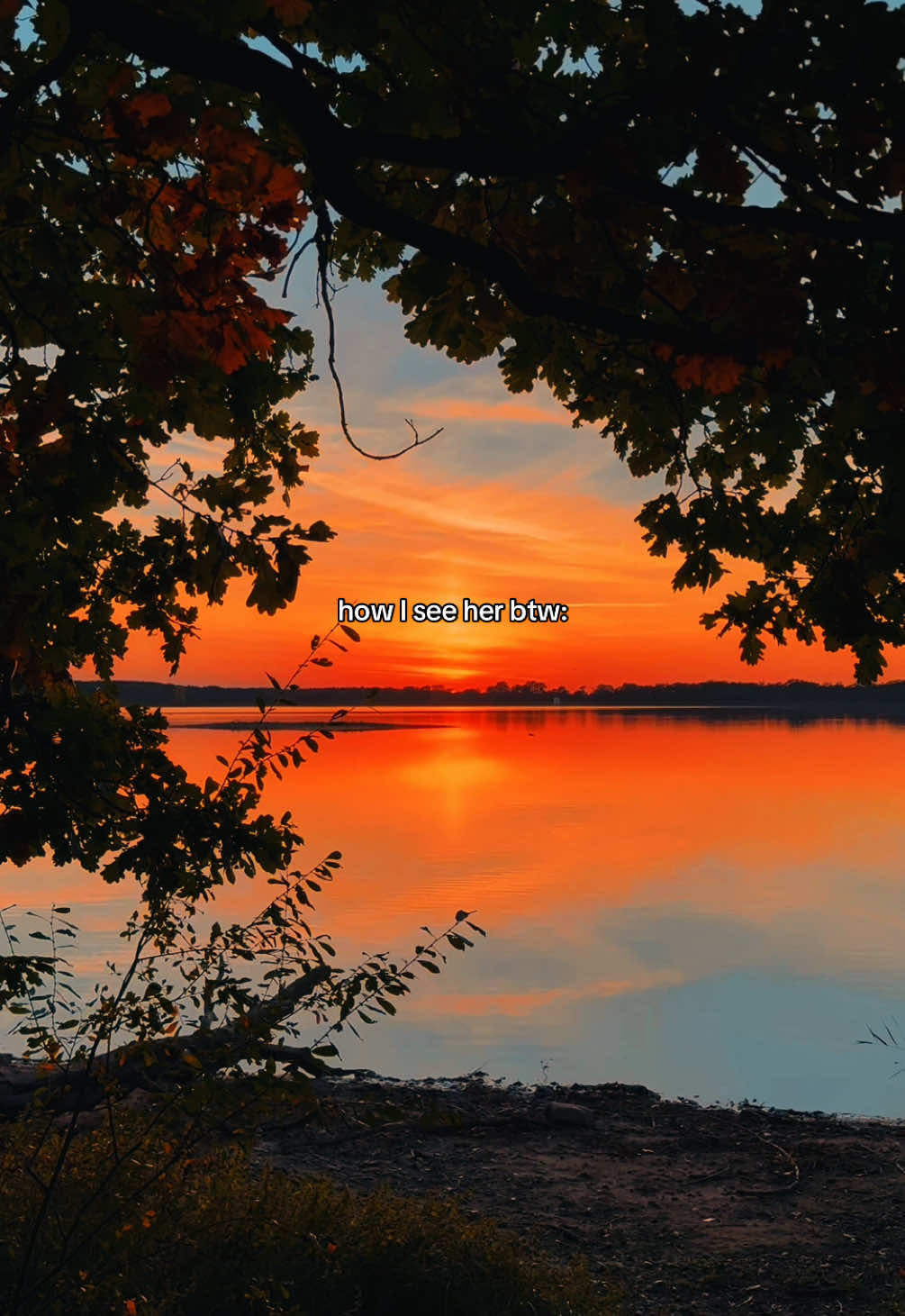 @Luca 🌅