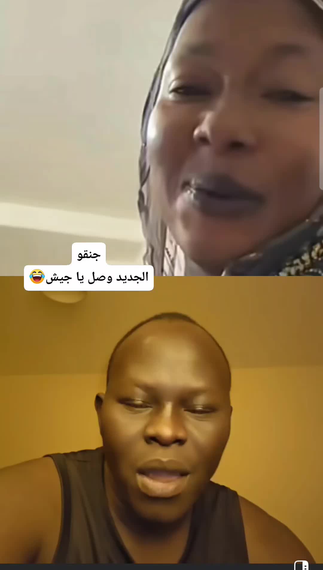@الأسد هنا لينظف
