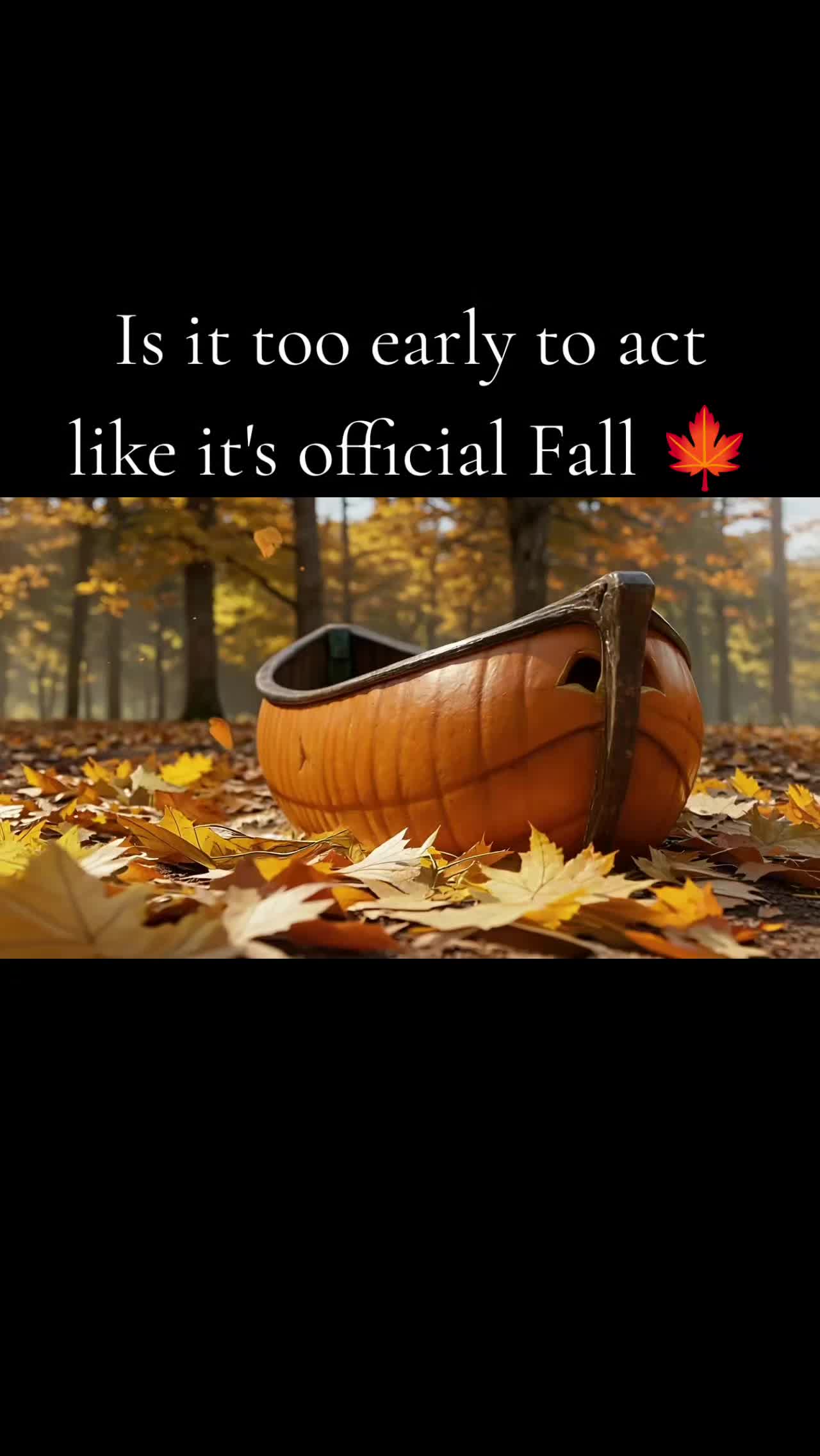 @kim