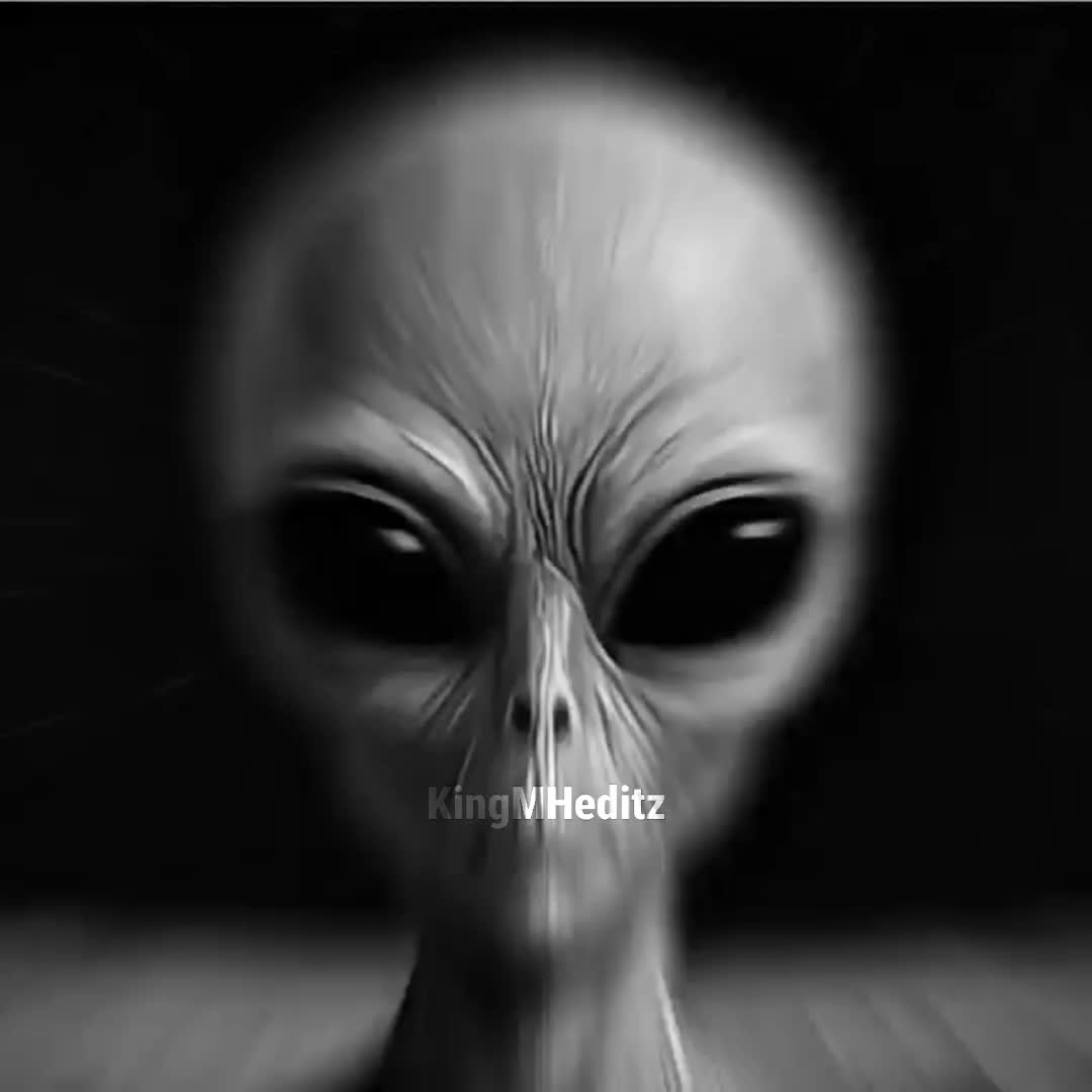 @KingMHeditz