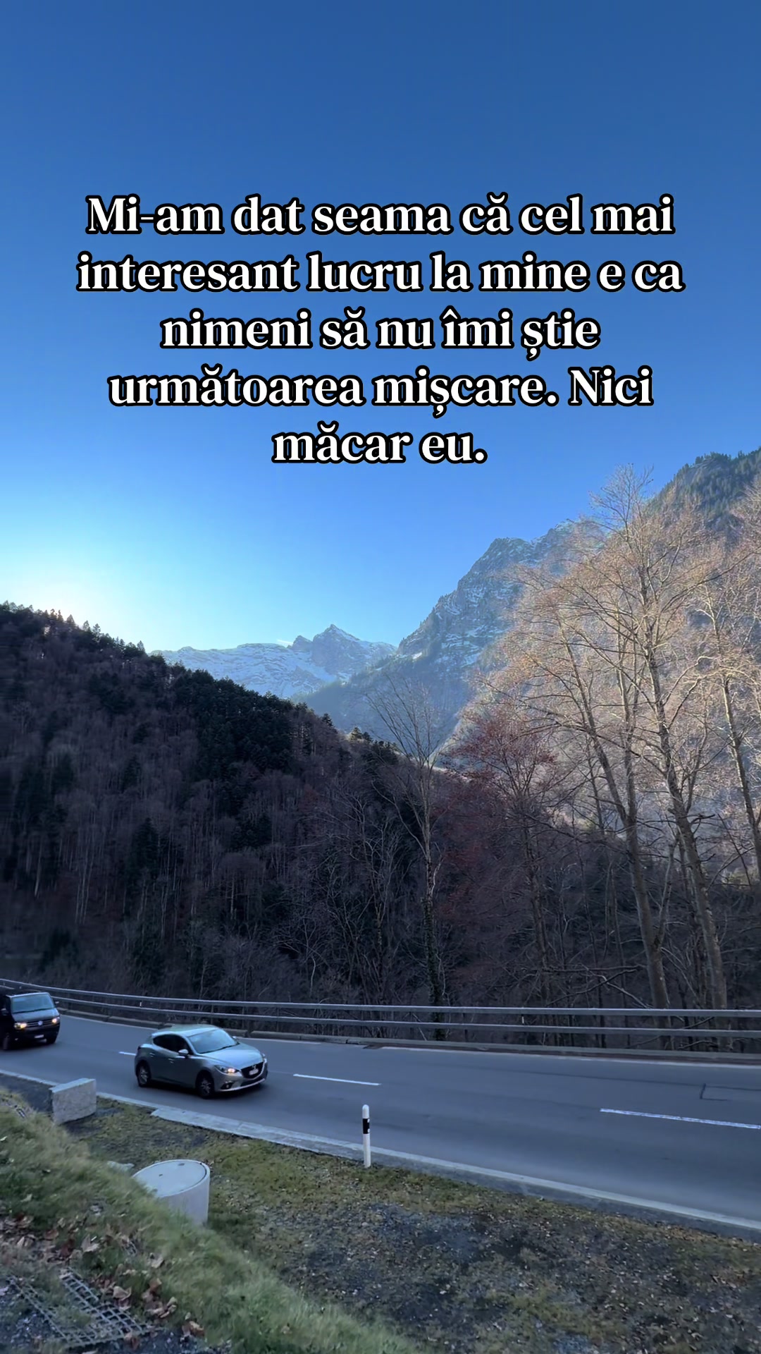 @Mirela M. Florentina