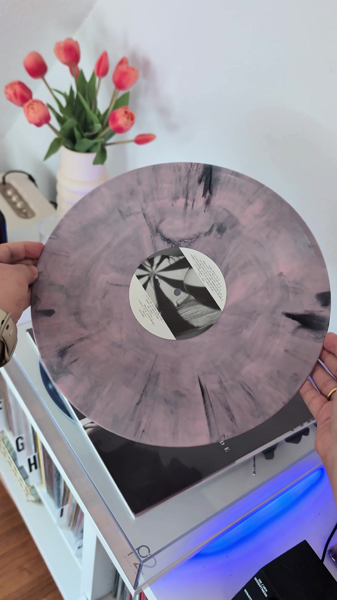@Chrissy || Vinyl Collector 🎶✨