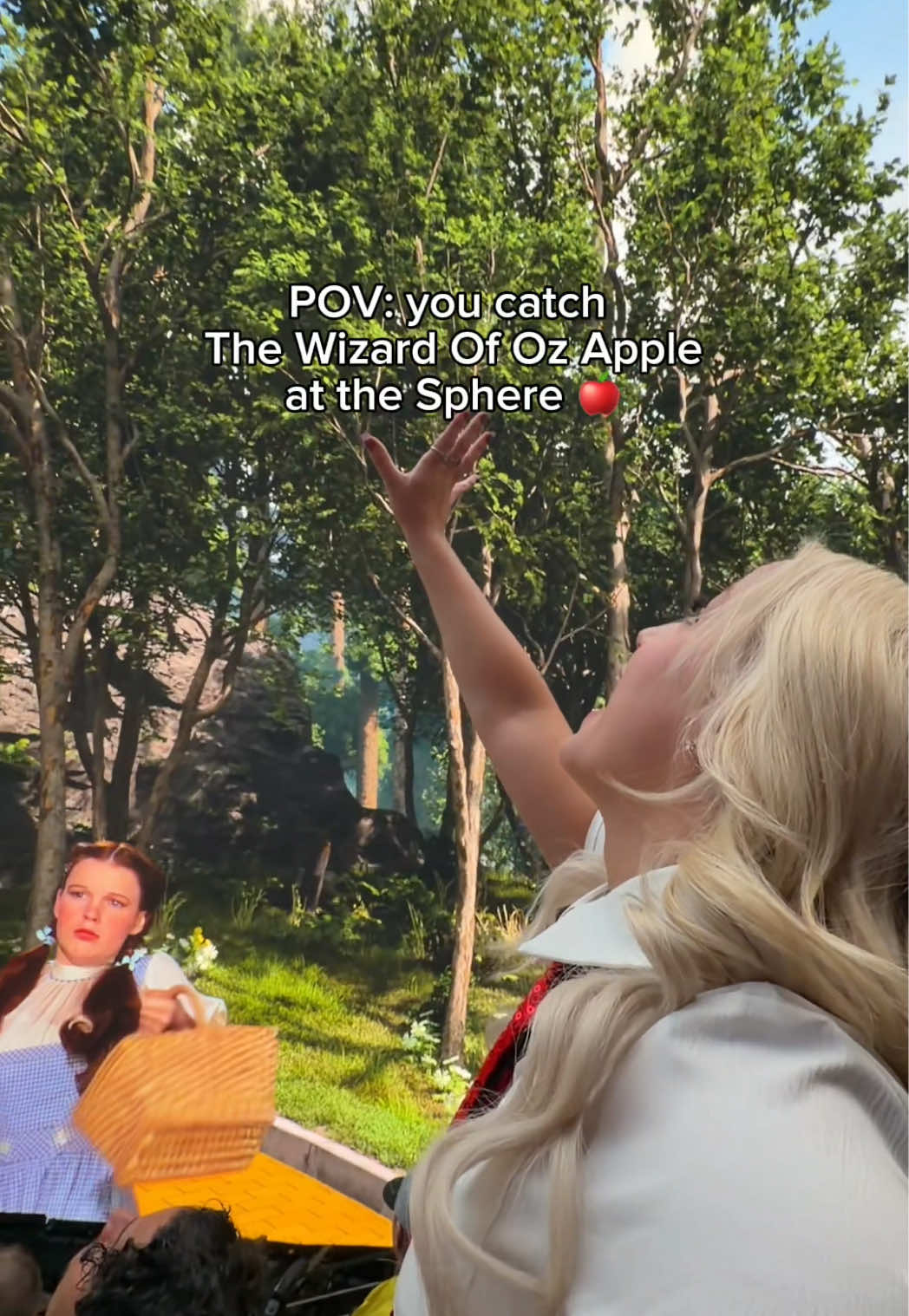 @Tori Kay