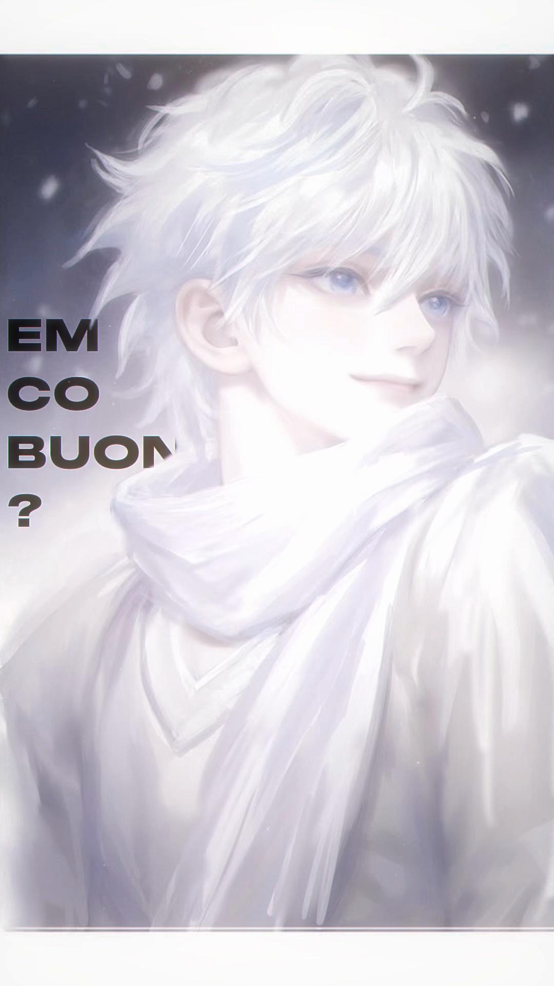 @louis meo