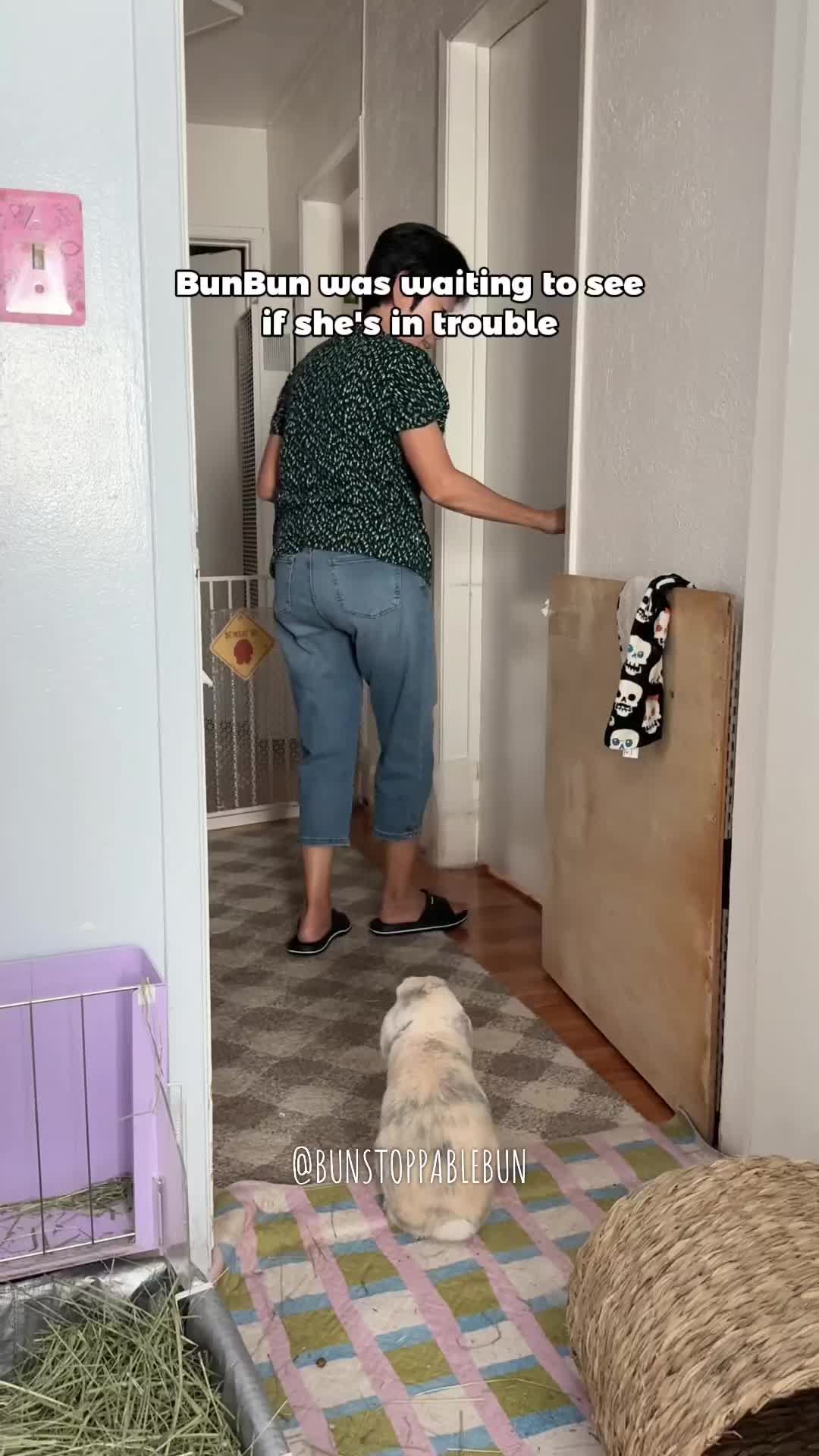 @BunBun, Mochi🌈, Chewy