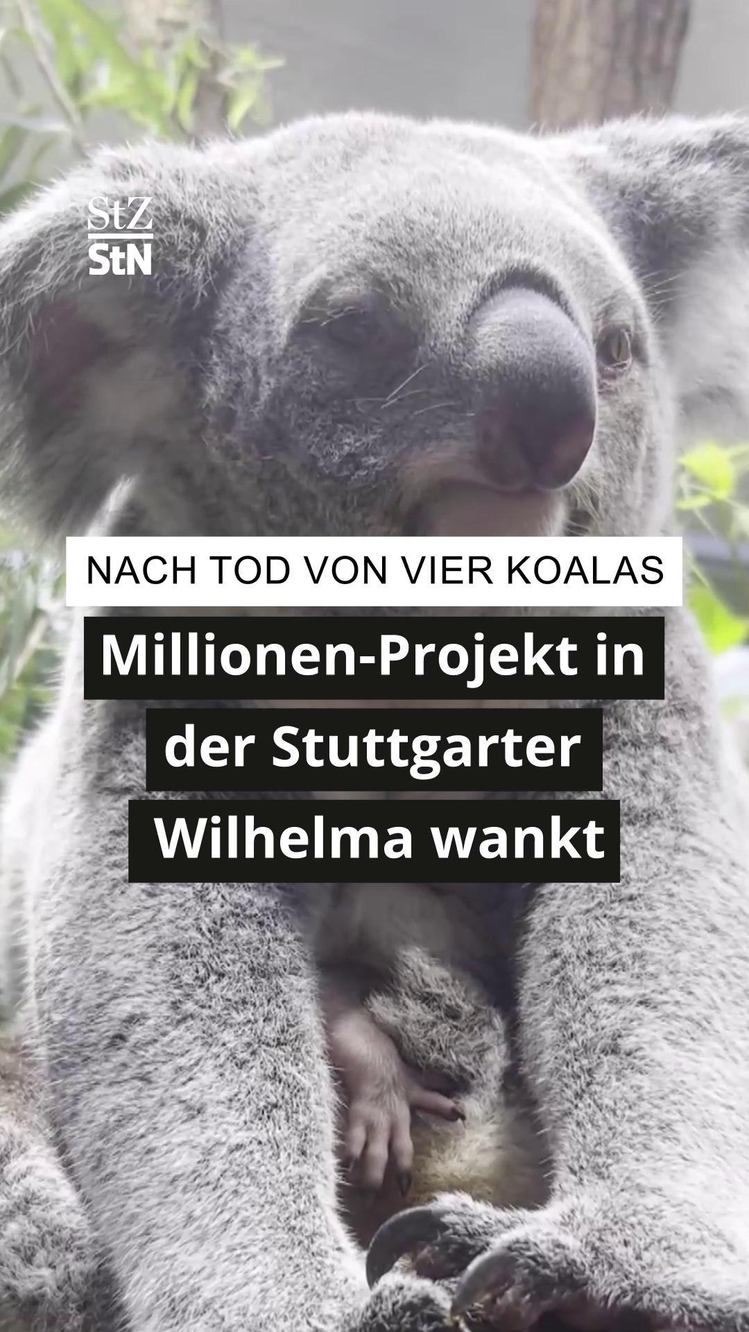 @StZ