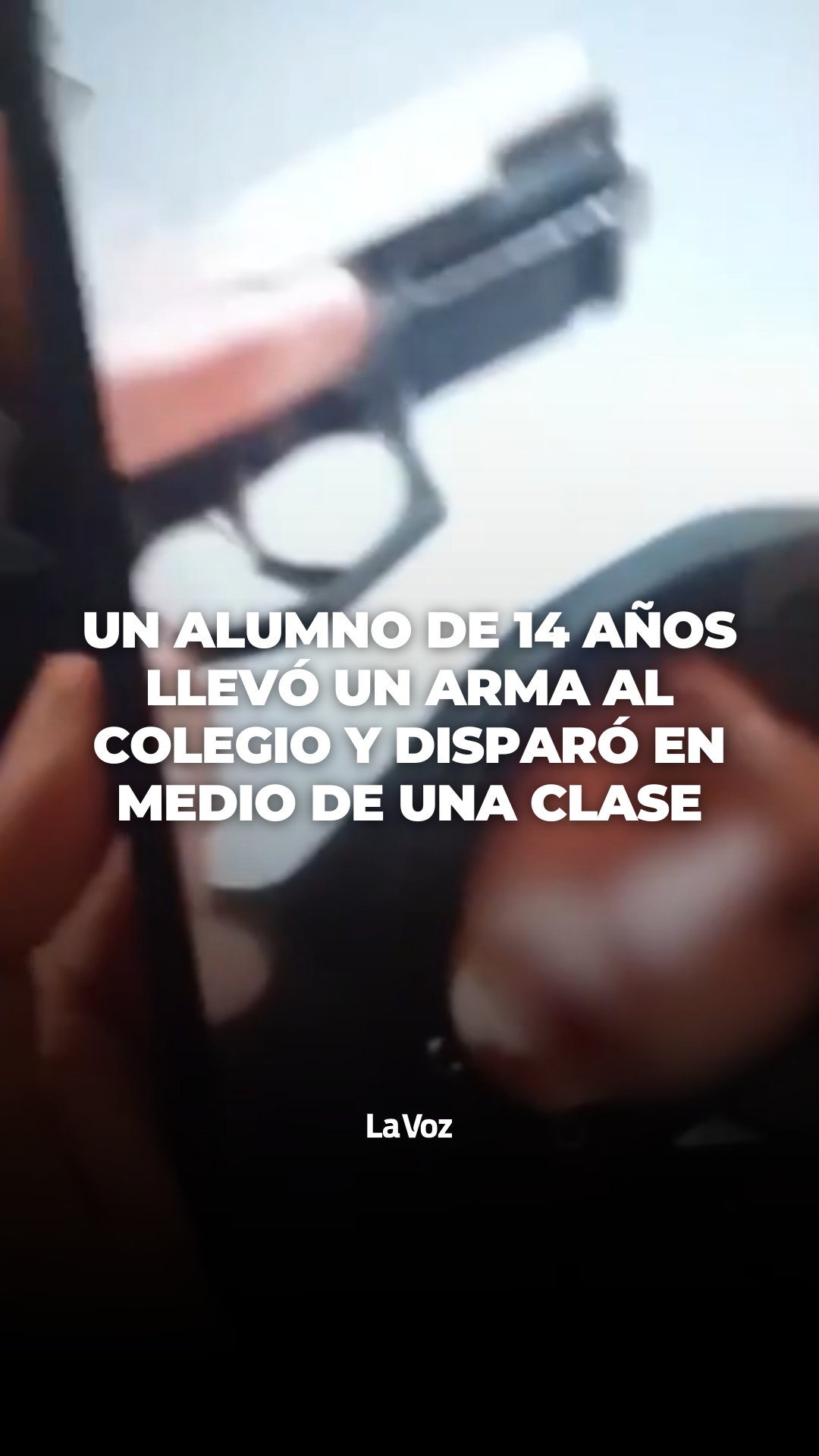@lavozcomar