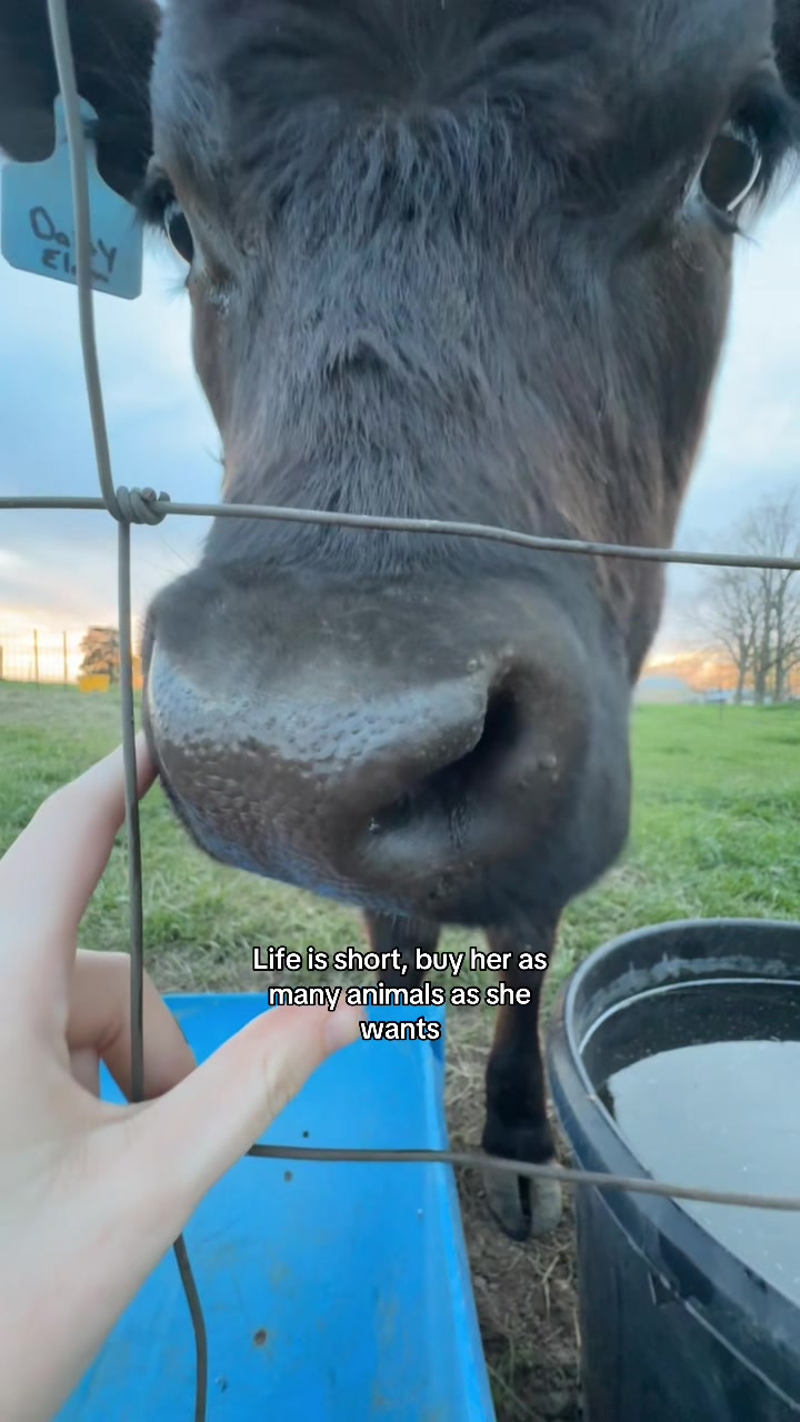 @Chloe Elam
