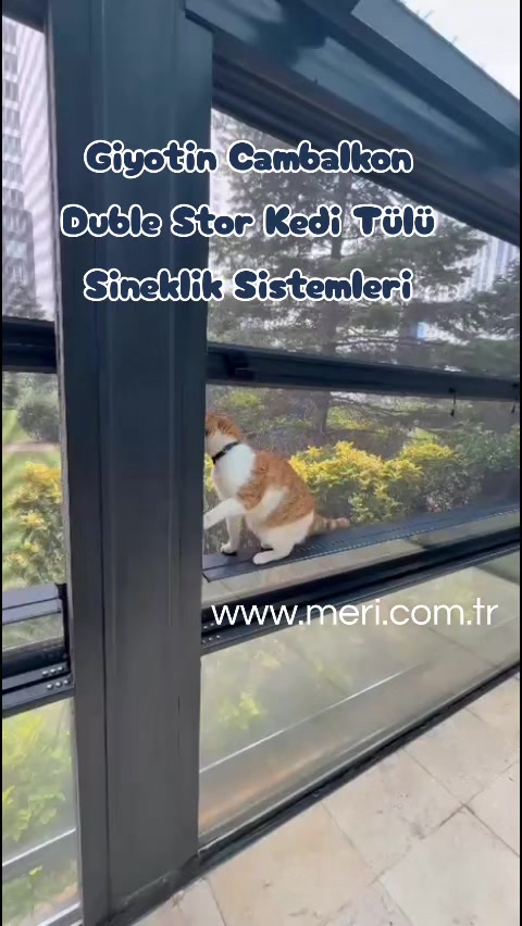 @Meri Sineklik İsmail Kurt