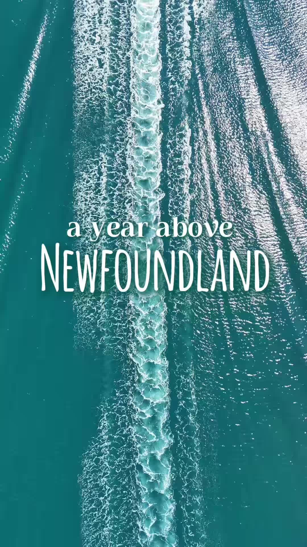 @TheLauraRoxplorer 🏕️📸