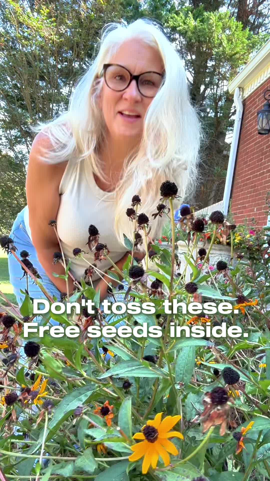 @Sweet BombDiggity Farms