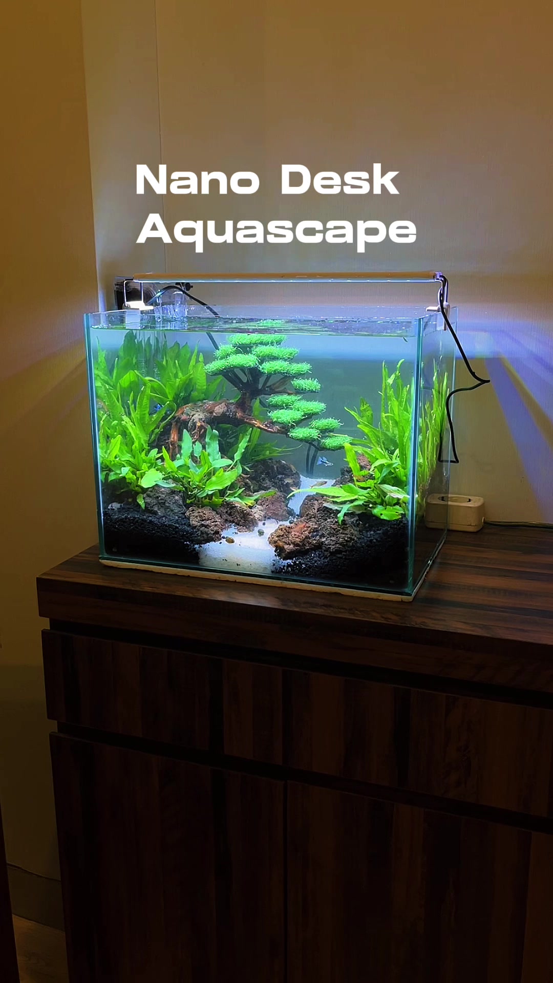 @Rawalumbu Aquatic Design