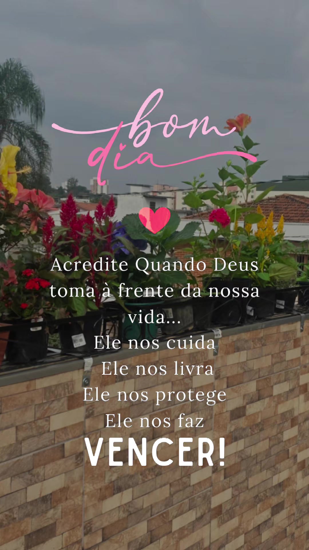@Celina Batista