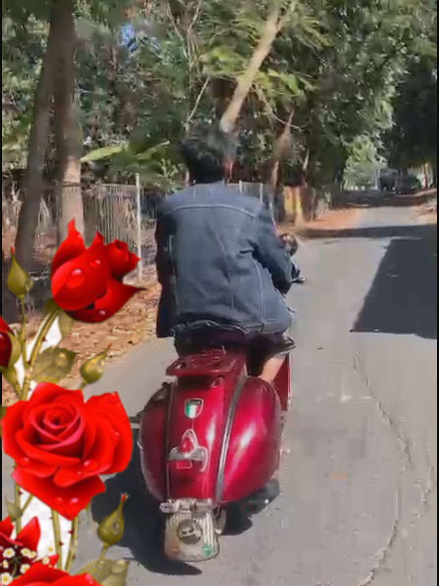 @^ S U G I A R T O ^