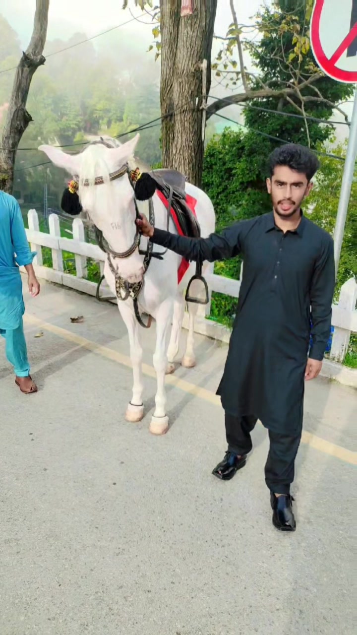 @Liaqat sahu