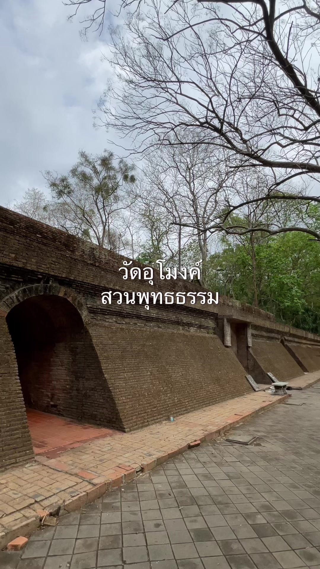 @หงษ์เหิน