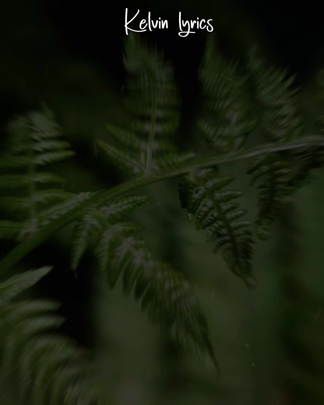 @𝐊𝐈𝐍𝐆 𝐎𝐅 𝐋𝐘𝐑𝐈𝐂𝐒