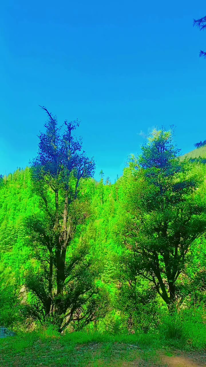 @ⁱᵗˣ_N͟&Oslash;&Oslash;R͟_ҜㄗҜ