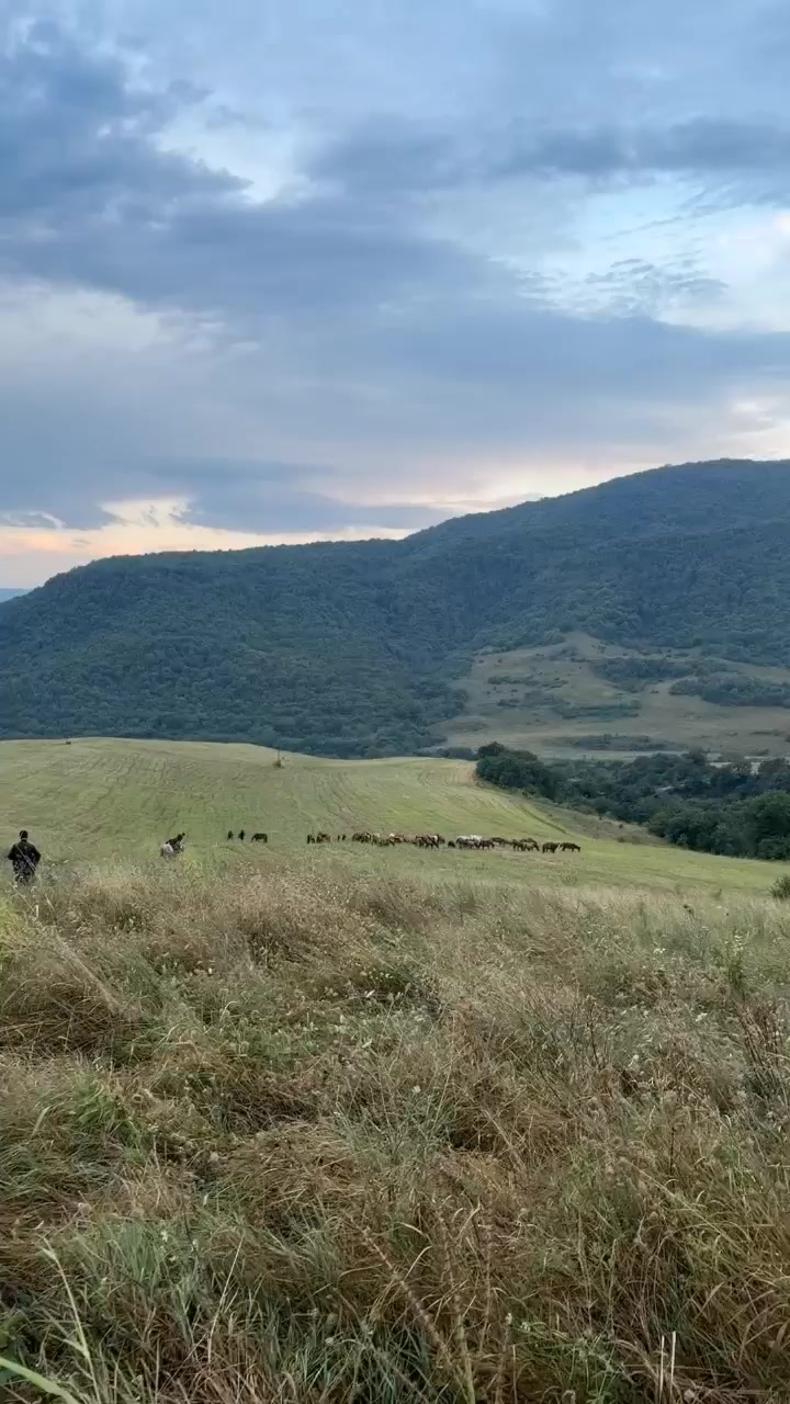 @Cefer_Qarabağlı