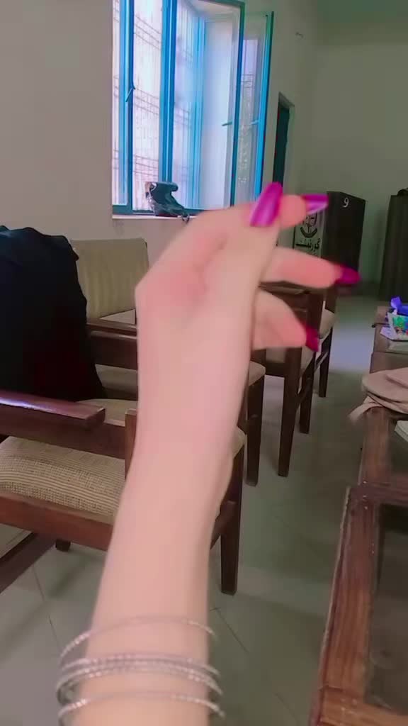 @👑 Hijabi_Queen 👑