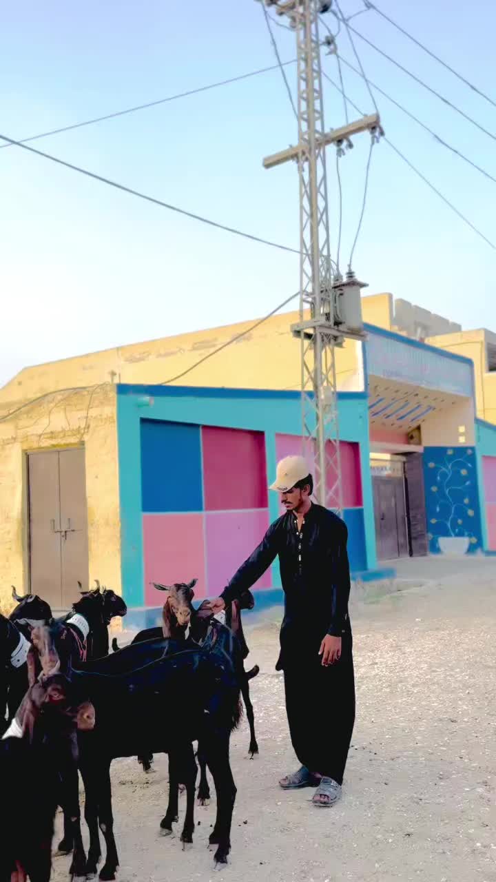 @✨.زاهد سولنگي واپاري. 🐐