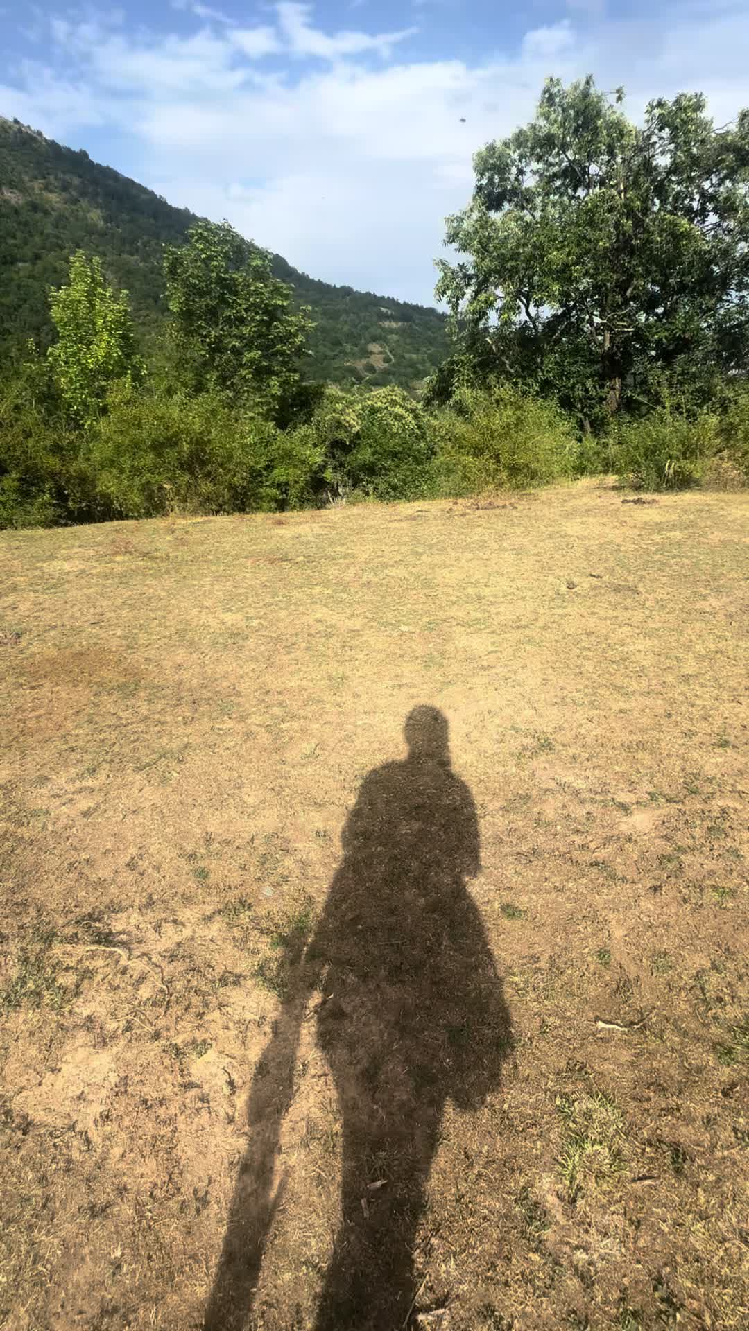 @browniebydiellza