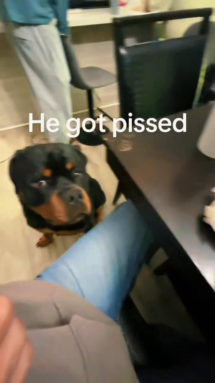 @captainflex81