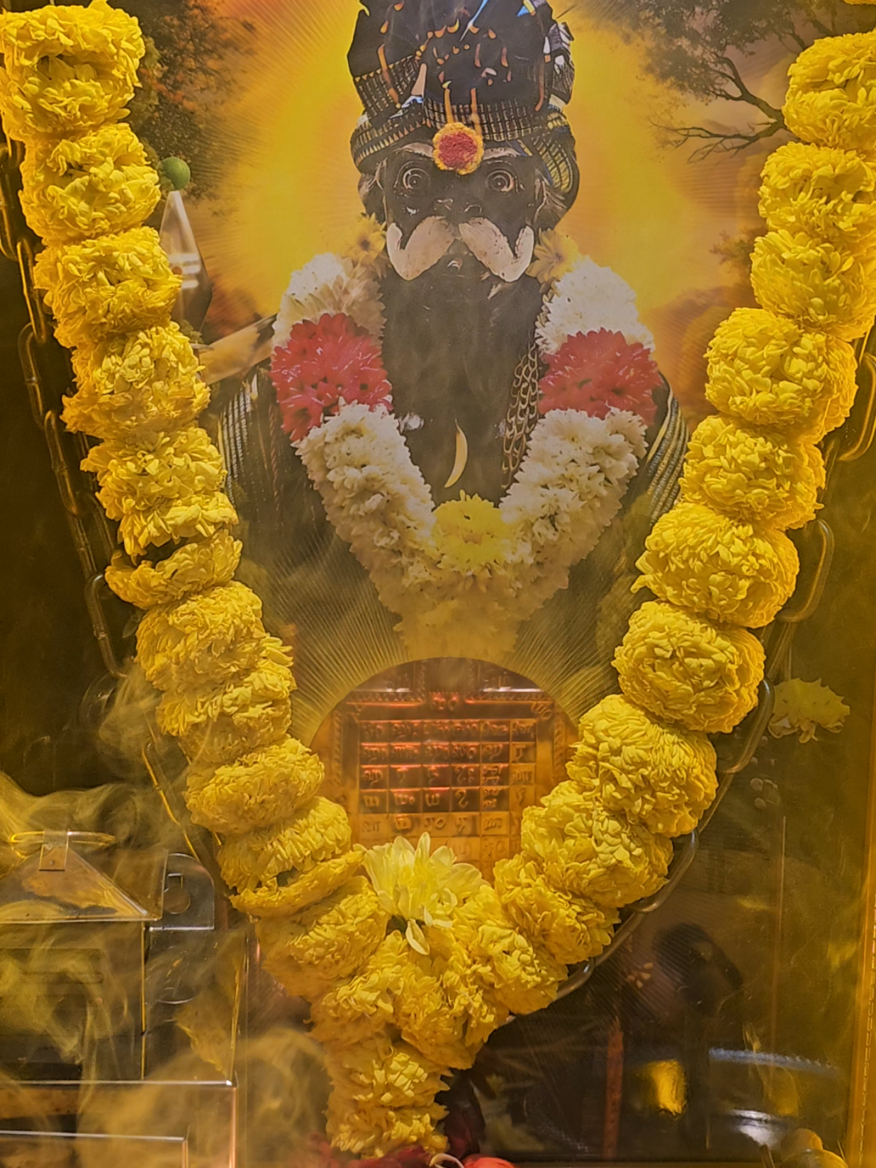 @MayanaMuniappan