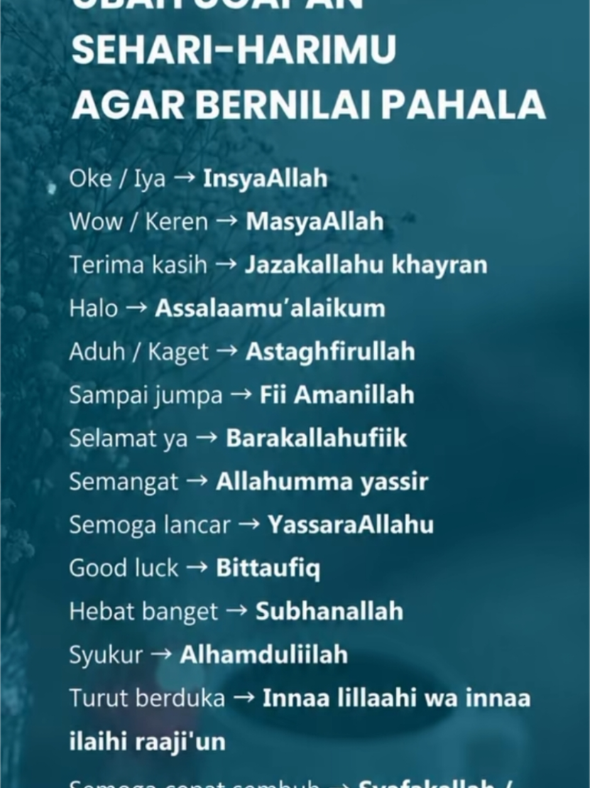 @❤️istrinya.Meneer🇳🇱🥰🇮🇩