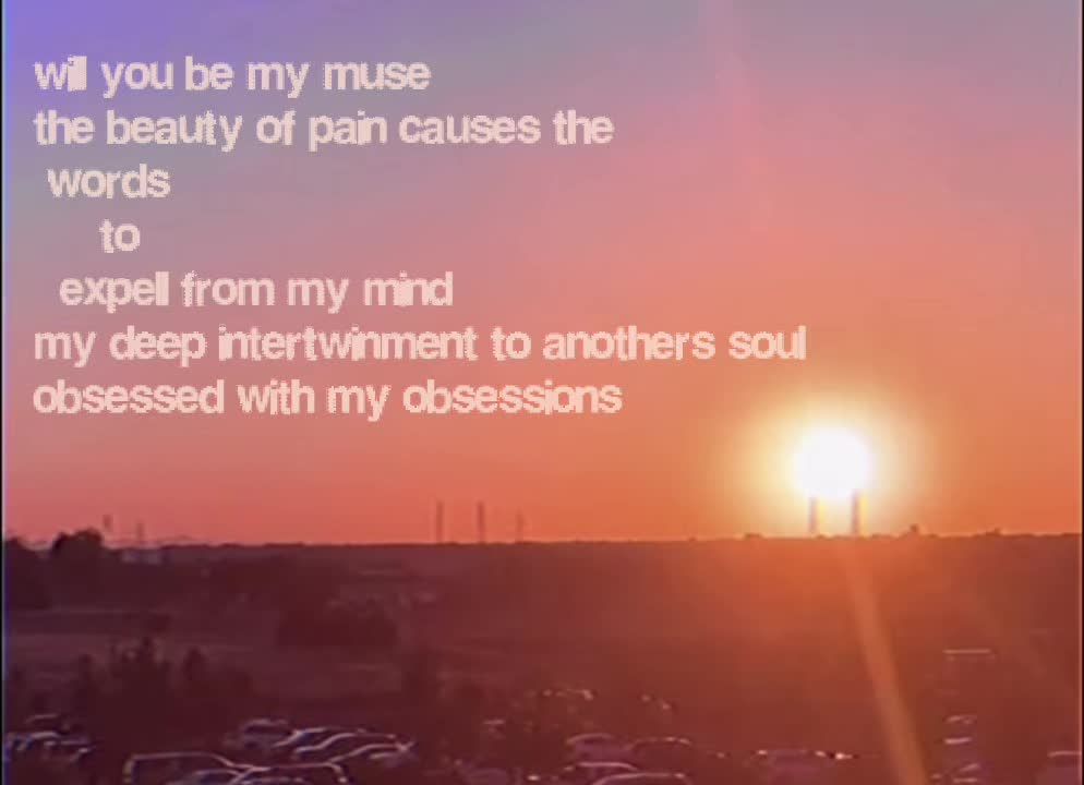 @⋆˚꩜｡₊