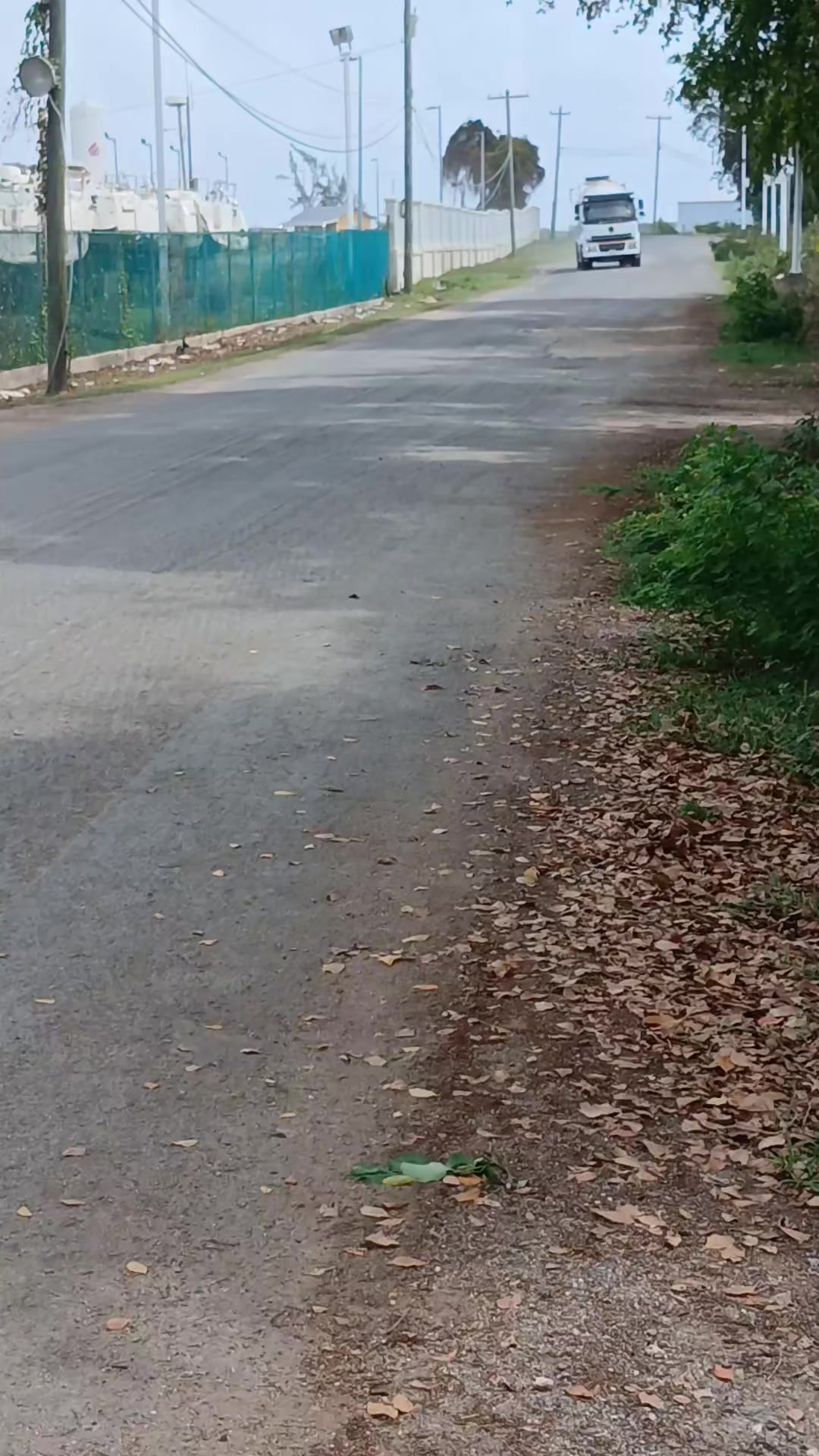 @👤